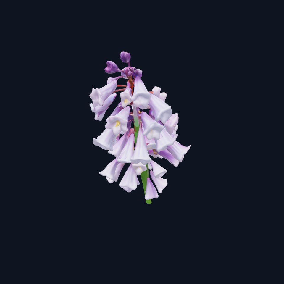 Lilac Hyacinth Flower Model Pack